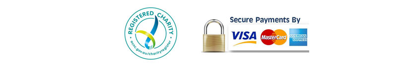 logo_secure